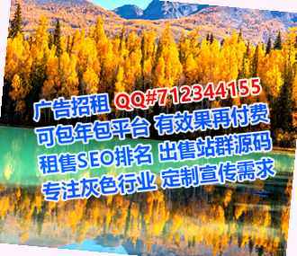 城子河借腹生子财务咨询事务所